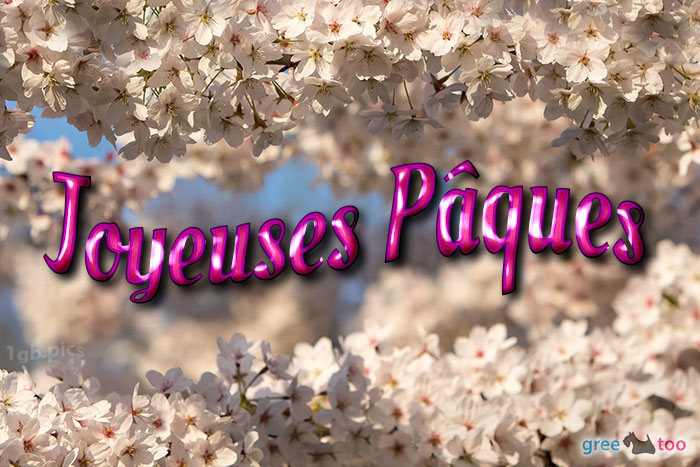 Joyeuses Paques