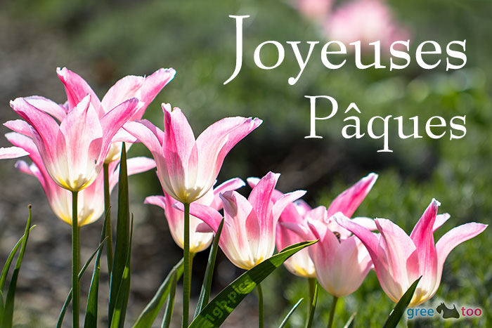 Joyeuses Pâques von 1gbpics.com