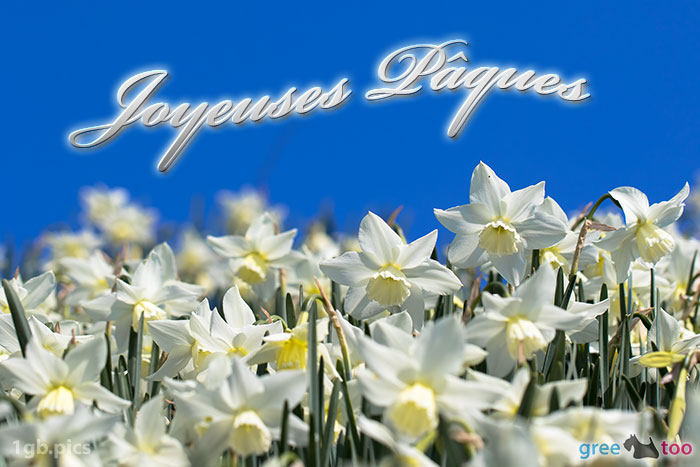 Joyeuses Pâques von 1gbpics.com