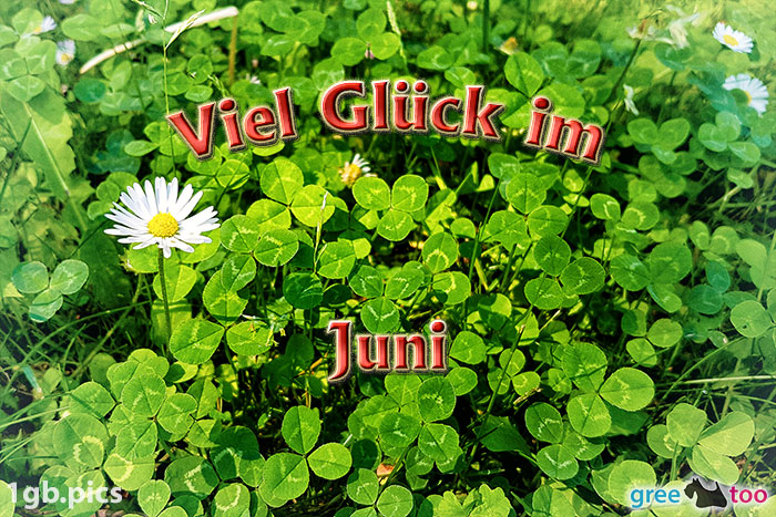 Juni von 1gbpics.com