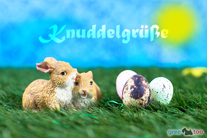 Knuddelgruesse