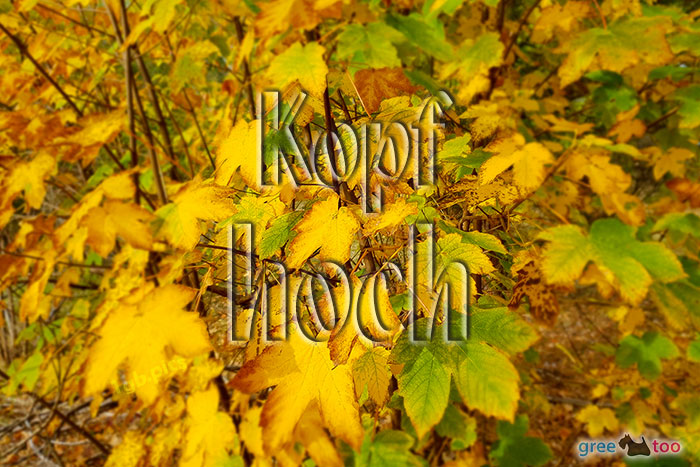 Kopf Hoch