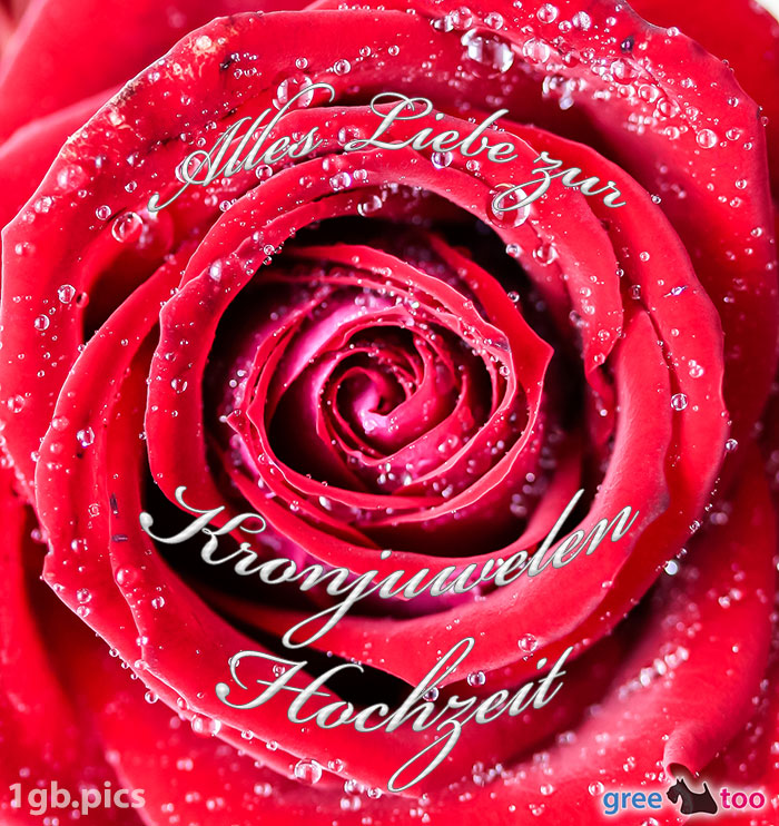 Rosenbluete Alles Liebe Zur Kronjuwelenhochzeit