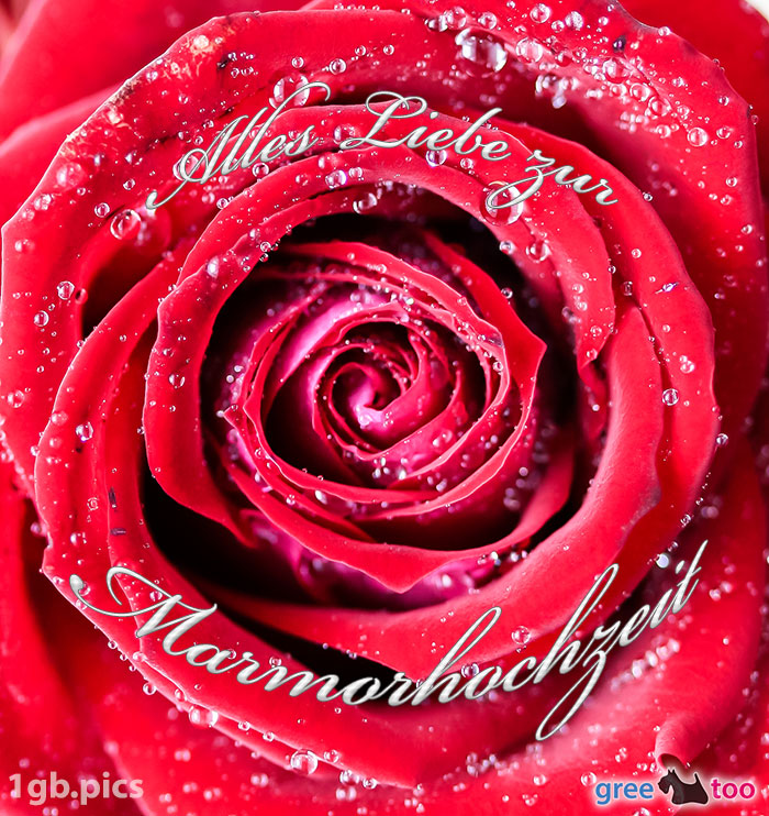Rosenbluete Alles Liebe Zur Marmorhochzeit
