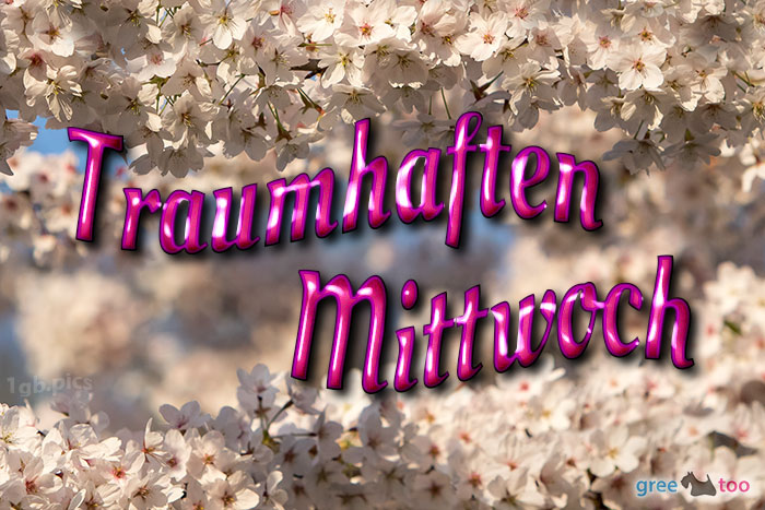 Traumhaften Mittwoch