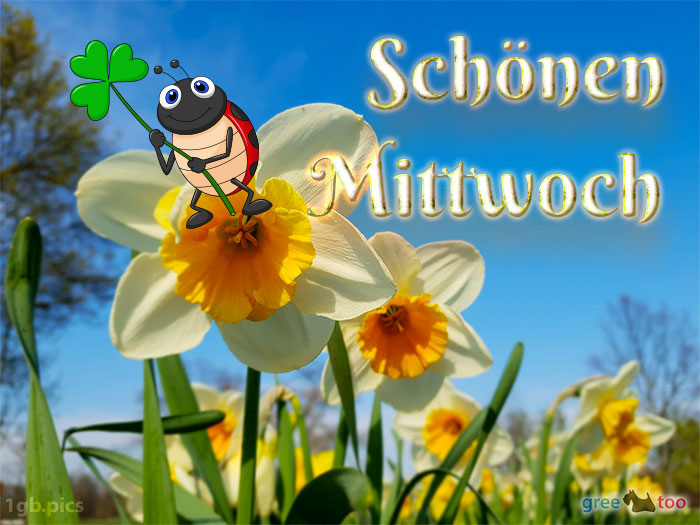 Mittwoch von 1gbpics.com