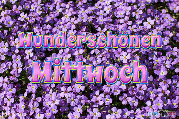 Mittwoch von 1gbpics.com