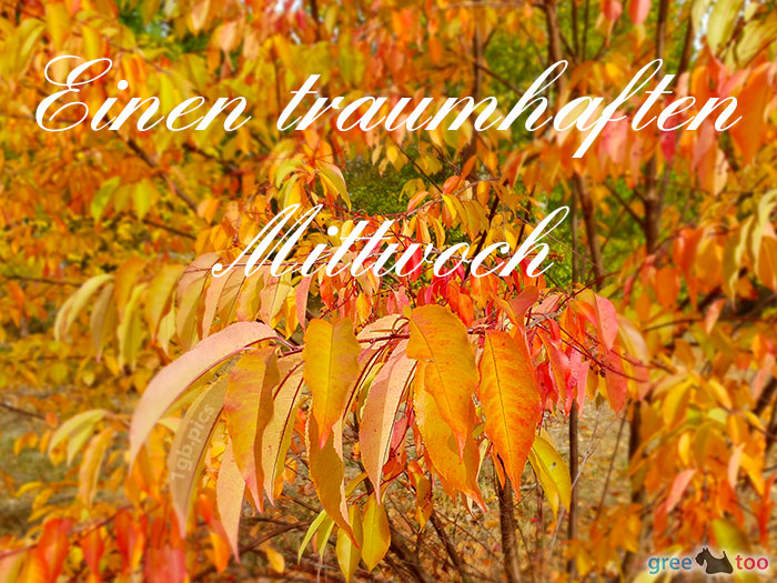 Mittwoch von 1gbpics.com