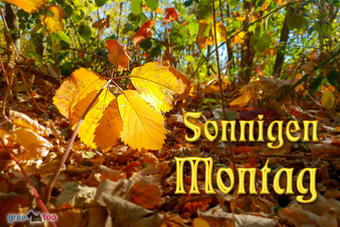 Sonnigen Montag