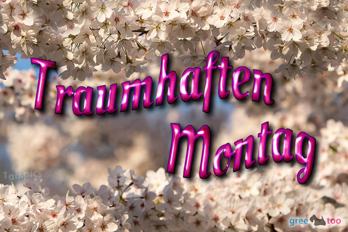 Traumhaften Montag