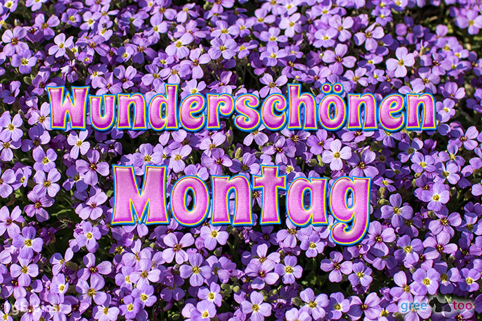 Wunderschoenen Montag