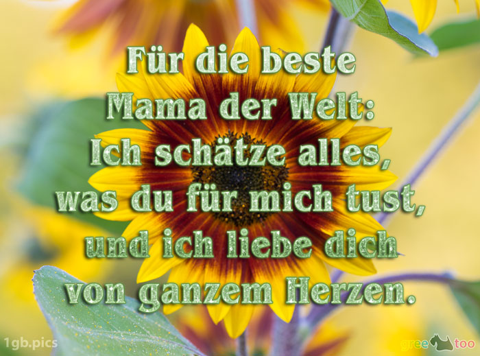 Für die beste Mama der Welt: Ich schätze alles, was du für mich tust, und ich liebe dich von ganzem Herzen.