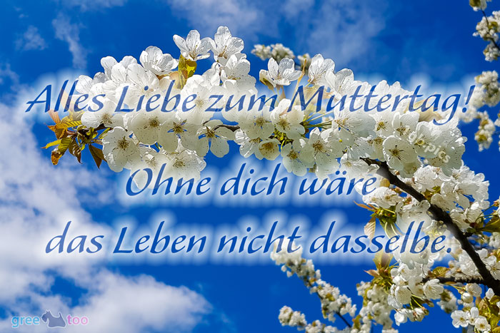 Alles Liebe zum Muttertag! Ohne dich wäre das Leben nicht dasselbe.