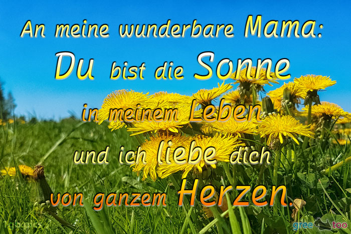 An meine wunderbare Mama: Du bist die Sonne in meinem Leben und ich liebe dich von ganzem Herzen.