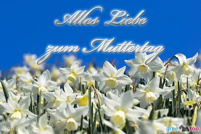 Alles Liebe Zum Muttertag Bild - 1gb.pics