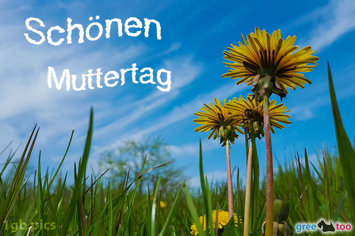 Loewenzahn Himmel Schoenen Muttertag