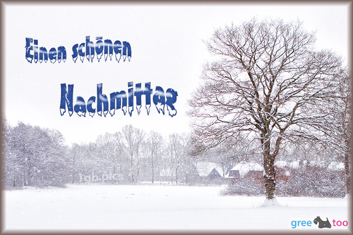 Schönen Nachmittag von 1gbpics.com