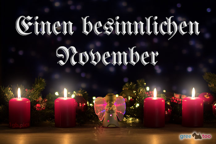 November von 1gbpics.com