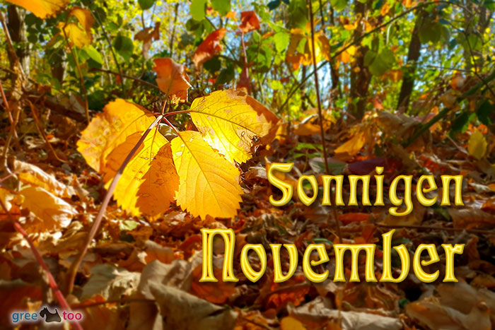 Sonnigen November