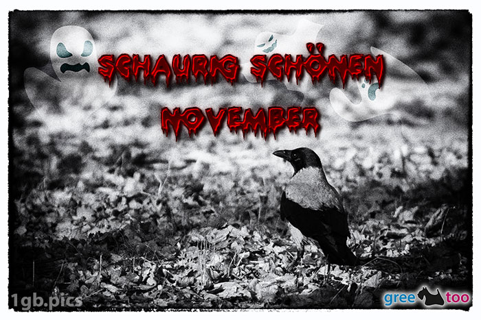 Kraehe Schaurig Schoenen November Bild - 1gb.pics