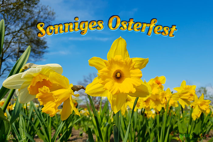 Sonniges Osterfest