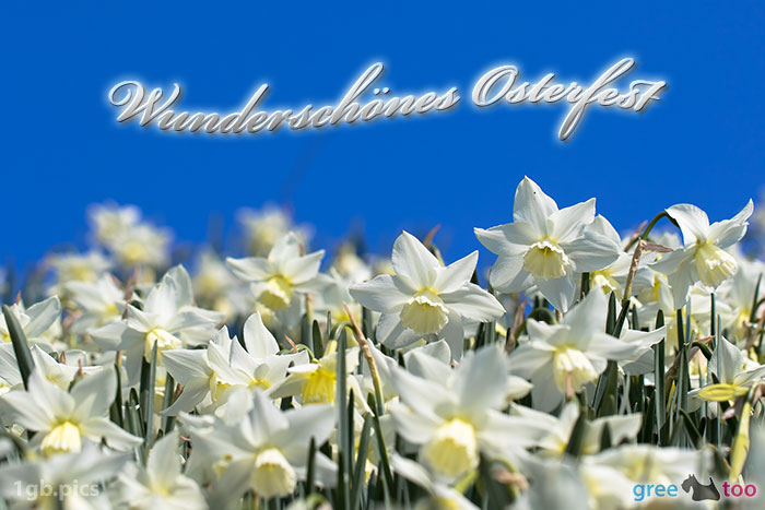 Wunderschoenes Osterfest