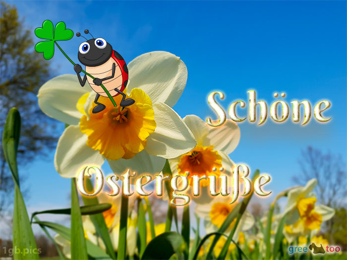 Schoene Ostergruesse