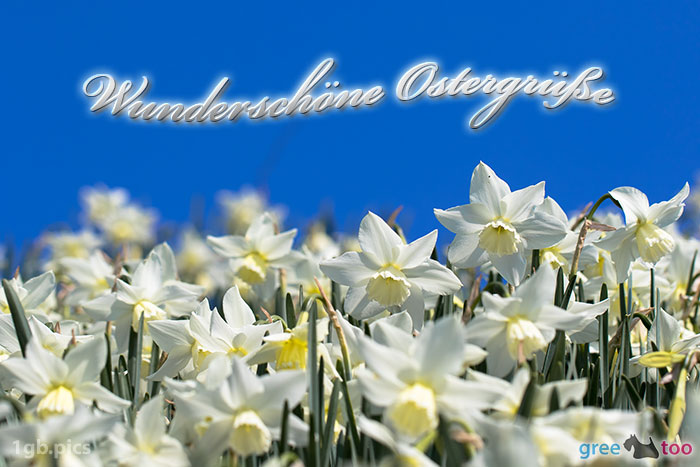 Wunderschoene Ostergruesse