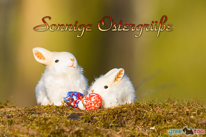 Sonnige Ostergruesse