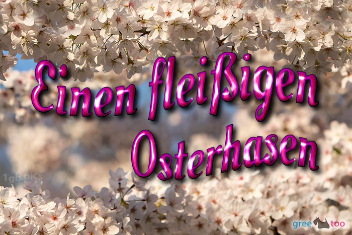 Fleissigen Osterhasen