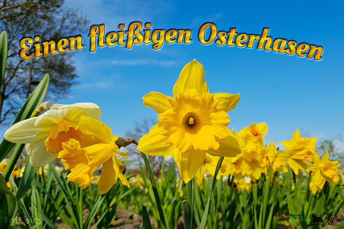 Fleissigen Osterhasen