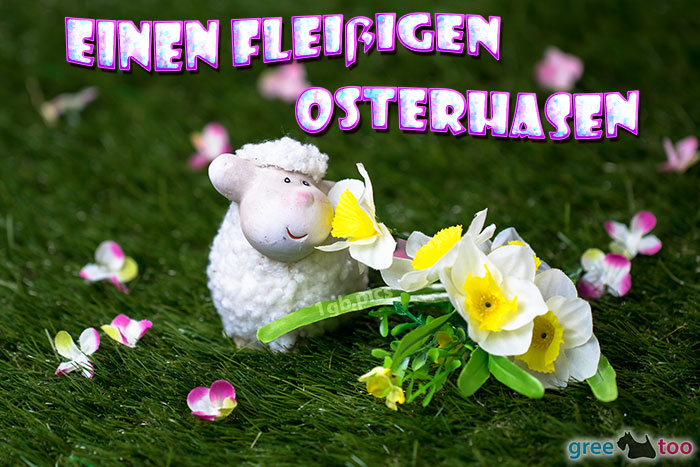 Fleissigen Osterhasen