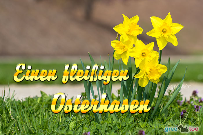 Fleissigen Osterhasen