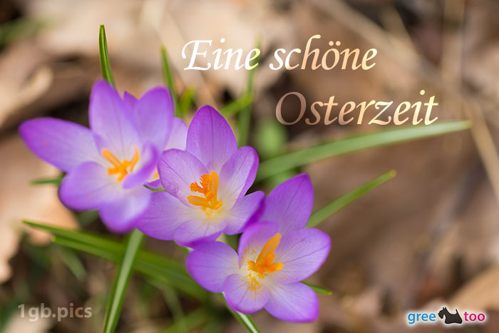 Osterzeit von 1gbpics.com