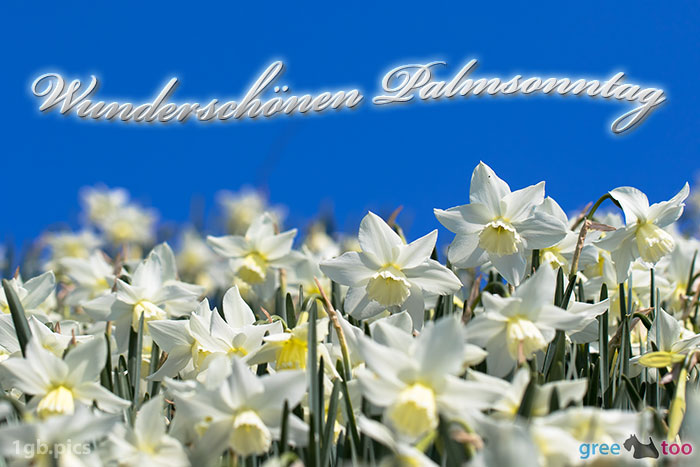 Wunderschoenen Palmsonntag