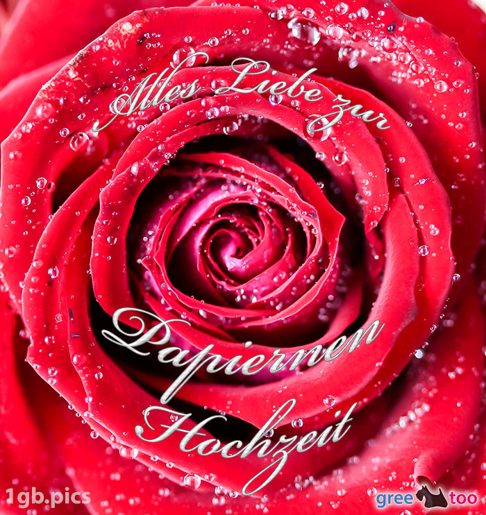 Rosenbluete Alles Liebe Zur Papiernen Hochzeit