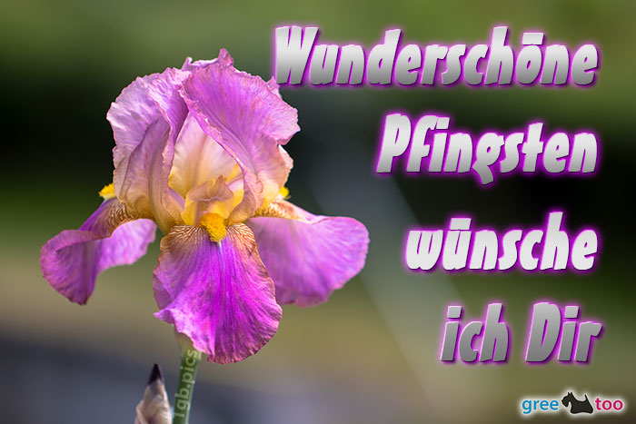 Wunderschoene Pfingsten