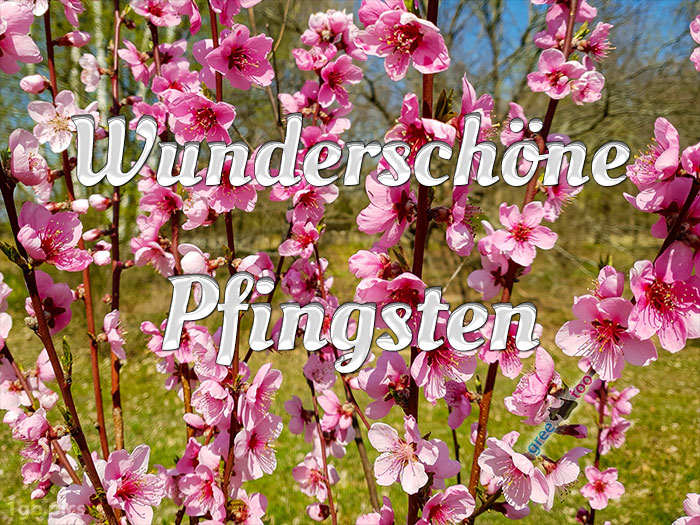 Wunderschoene Pfingsten