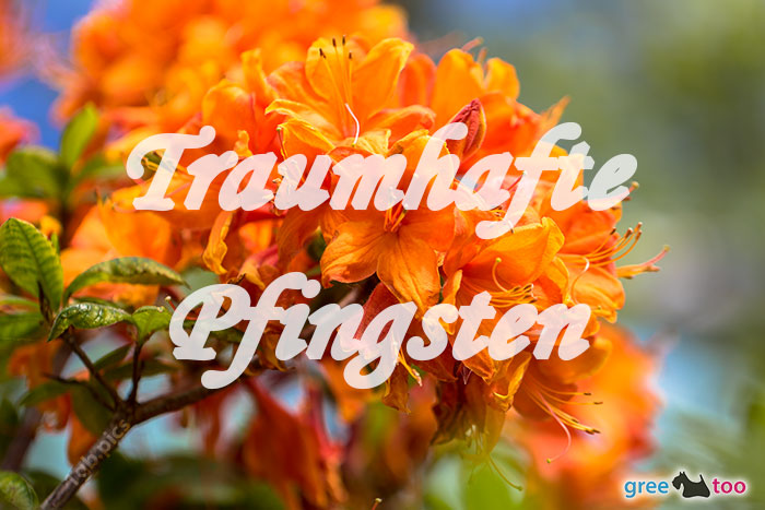 Traumhafte Pfingsten