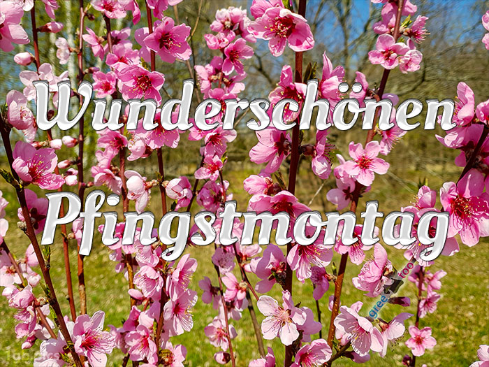 Wunderschoenen Pfingstmontag