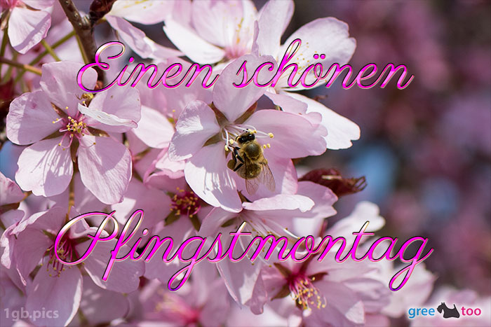 Pfingstmontag von 1gbpics.com