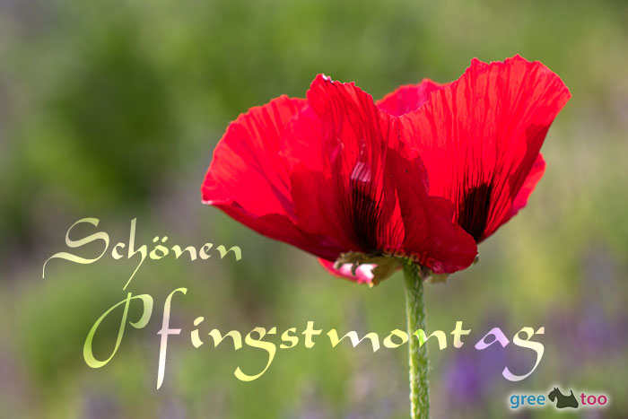 Pfingstmontag von 1gbpics.com