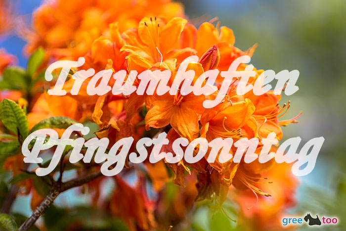 Traumhaften Pfingstsonntag