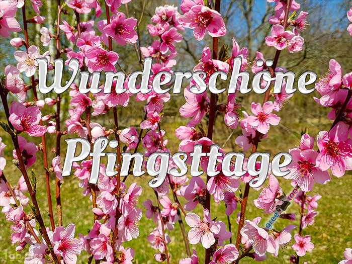 Wunderschoene Pfingsttage Bild - 1gb.pics