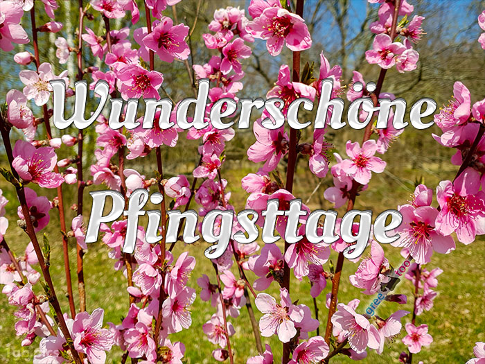 Wunderschoene Pfingsttage