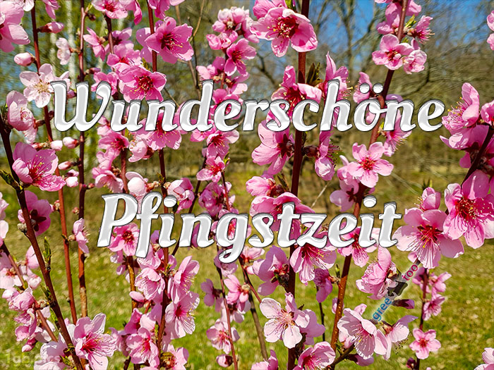 Wunderschoene Pfingstzeit