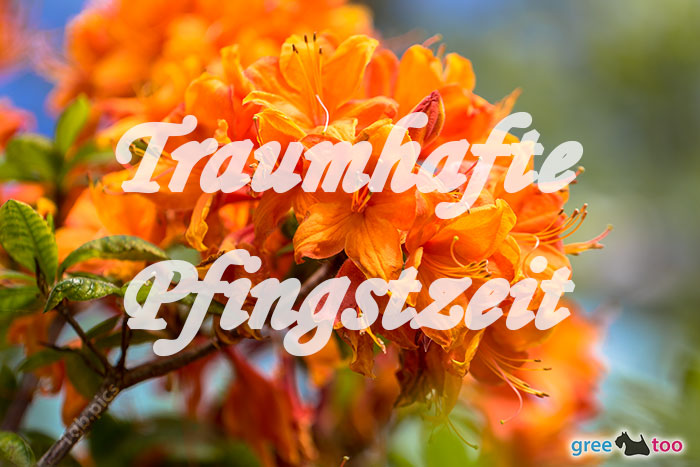 Traumhafte Pfingstzeit