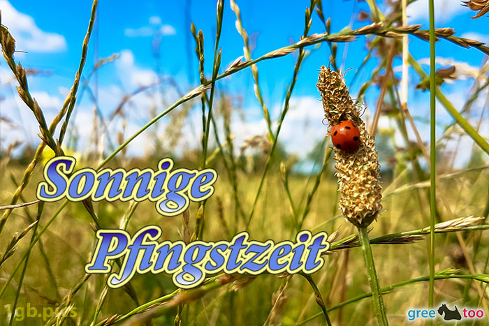 Pfingstzeit von 1gbpics.com