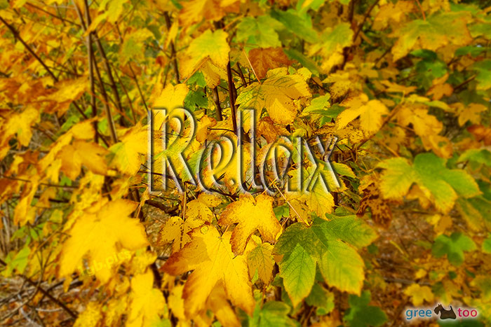 Relax von 1gbpics.com