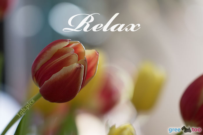 Relax von 1gbpics.com